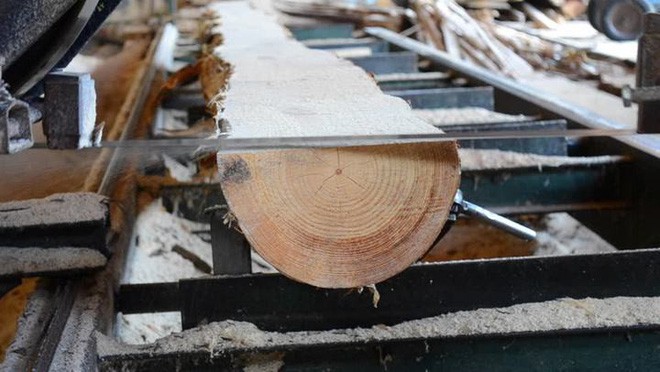Ứng dụng phế liệu gỗ làm bê tông chắc và chống thấm tốt hơn