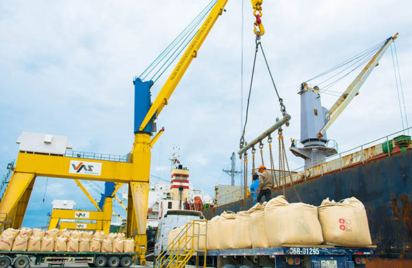 Vicem Hà Tiên mời chào giá dịch vụ bốc xếp hàng hóa từ sà lan lên tàu biển