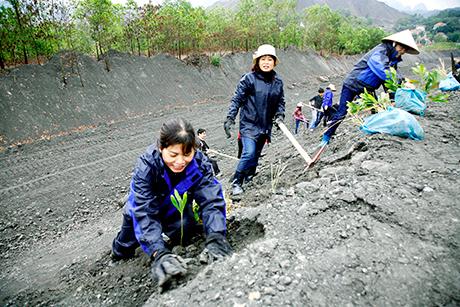 Quảng Ninh: Bảo vệ môi trường là công tác trọng tâm