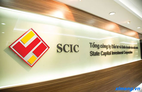 SCIC đăng ký thoái toàn bộ vốn tại Xi măng và Xây dựng Quảng Ninh 