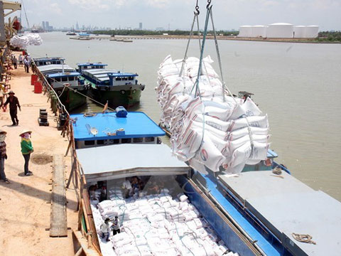 Xuất khẩu xi măng sang Philipines chiếm 30% tổng trị giá xuất khẩu