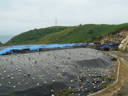 Khánh Hòa chuyển 1 triệu tấn hạt nix cung cấp cho các nhà máy sản xuất xi măng