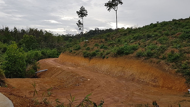 Hòa Bình chuyển đổi gần 50 hecta đất rừng để xây dựng nhà máy xi măng Xuân Thiện
