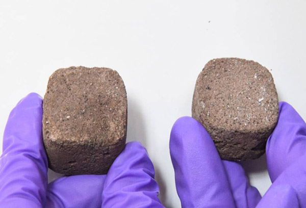 Sử dụng gạch vi khuẩn để xây nhà trên sao Hỏa