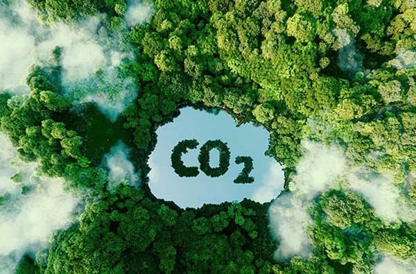 Indonesia sẽ khai trương sàn giao dịch carbon vào tháng 9